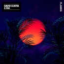 DAVID GUETTA - Flames (David Guetta Remix)